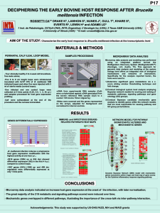 poster CAR_Brucellosis2011