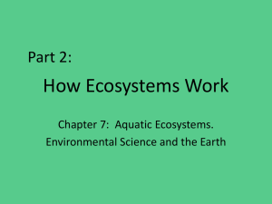 Ecosystems: Everything Is Connected