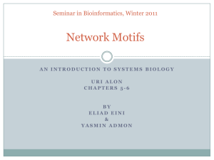 Network motifs in developmental Transcription Networks