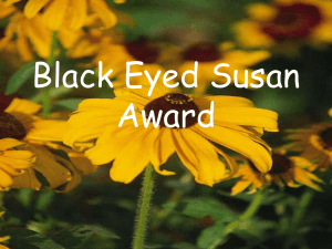 Black Eyed Susan Award - childrensyaliterature