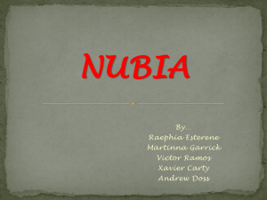 nubia - Indiana Claros 708 Artifacts