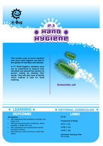 Hand Hygiene - e-Bug