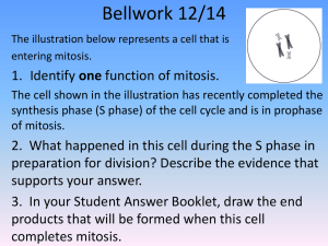 Meiosis and Sexual Life Cycles Using two successive divisions to