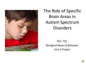 The Role of Specific Brain Areas in Autism Spectrum Disorders