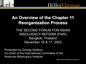 Chapter 1 Reorganization Process