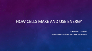 How cells make and use energy