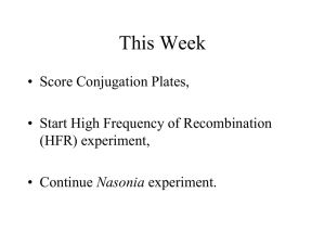 High Frequency of Recombination (Hfr)