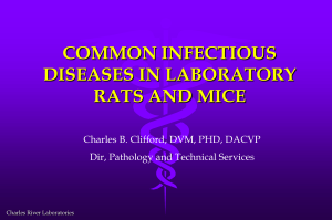 Common Infectious Diseases in Laboratory Rats and Mice
