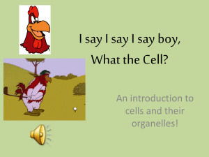 What the Cell?
