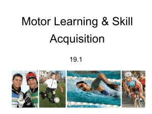 19.1 Motor Learning and Skill Acquisition