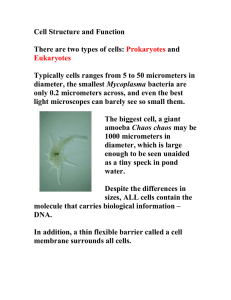Cell Structure and Function There are two types of cells: Prokaryotes