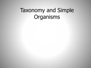 Taxonomy and Simple Organisms