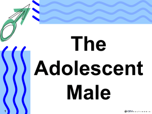 The Adolescent Male