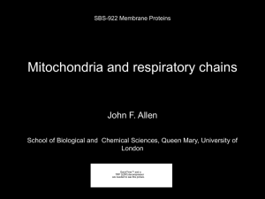 Molecular Biology of the Cell