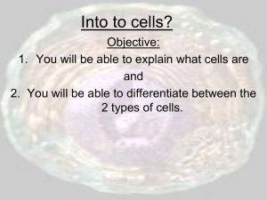 TWO TYPES OF CELLS