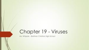 Chapter 19 - Viruses