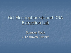 Gel Electrophoresis and DNA Extraction Lab - SETI-2-2013