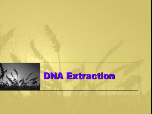 DNA Extraction - Augusta Technical College