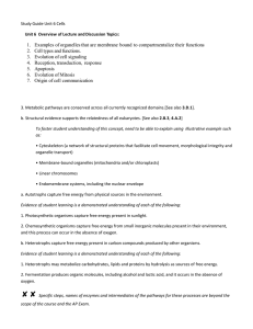 Study Guide Unit 6 Cells & Cell Communication