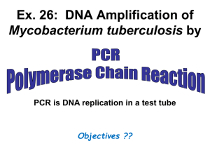 PCR prelab