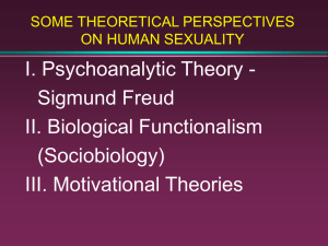 some theoretical perspectives on human sexuality