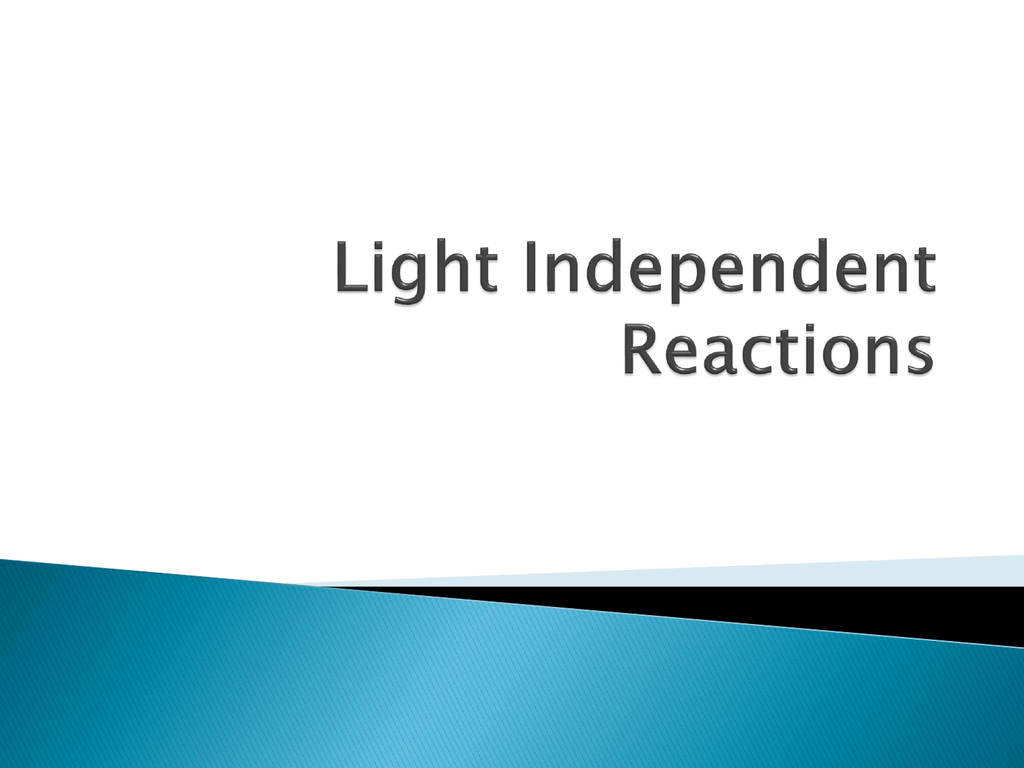 light-independent-reactions