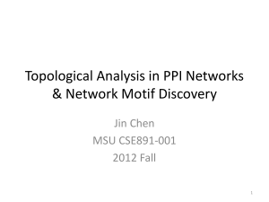 Topological Analysis in PPI Networks & Network Motif Discovery