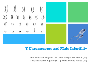 + Y Chromosome
