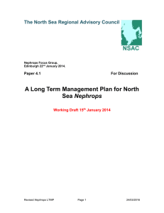 A Long Term Management Plan for North Sea Nephrops