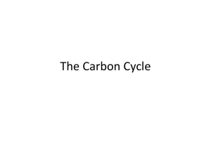 The Carbon Cycle - R. G. Drage Career Technical Center