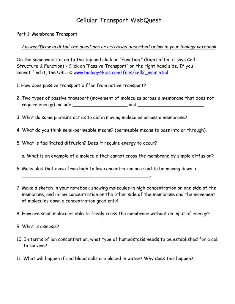 Cellular Transport WebQuest Part 22: Membrane Transport Answer For Cellular Transport Worksheet Answer Key