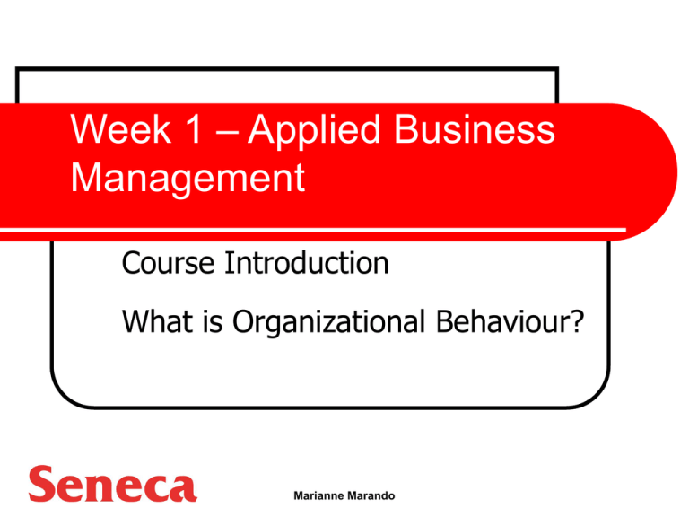 What Is Organizational Behavior With Example