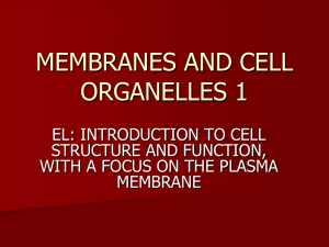CELL STRUCTURE_2012