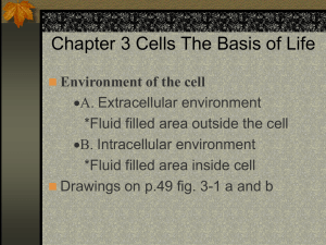 Chapter 3 Cells The Basis of Life