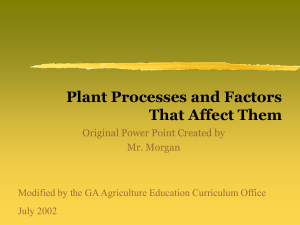 Plant Growth Processes