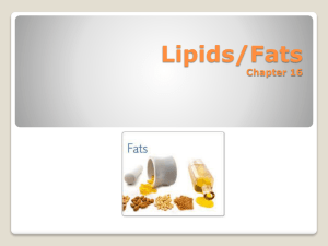 Chapter 16, Lipids/Fats