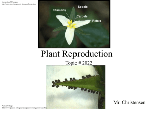 Plant Reproduction