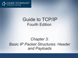 Guide to TCP/IP, Third Edition