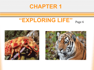 chapter 1 “exploring life”