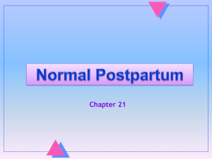 Normal Postpartum