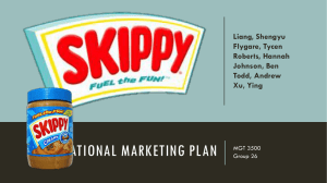 2015 National marketing plan 2.0