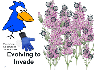 Evolving-to-Invade-Powerpoint