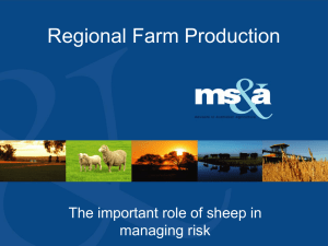 Regional Farm Production The important role of sheep