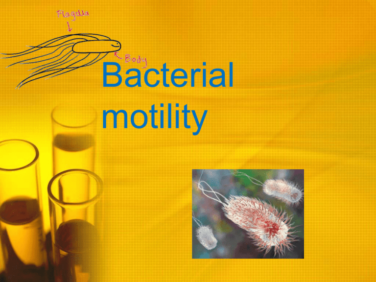 microorganisms-free-full-text-methods-to-evaluate-bacterial