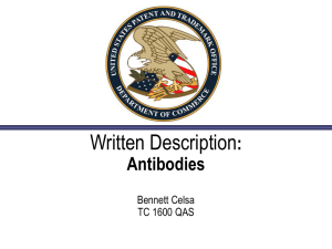 Written Description Antibodies