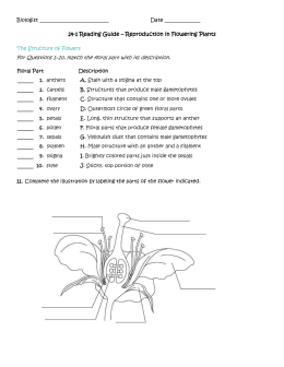 Plant Reproduction Worksheet