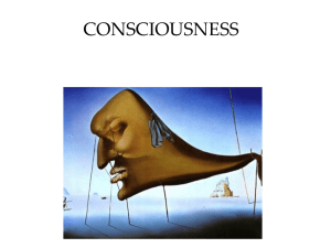 Lusk Powerpoint: Consciousness