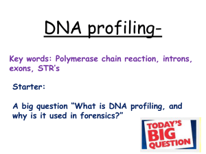 DNA profiling and PCR