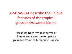 AIM: SWBAT describe the unique features of the tropical grassland