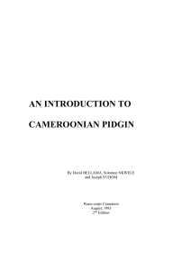 an introduction to cameroonian pidgin